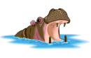 Hippo